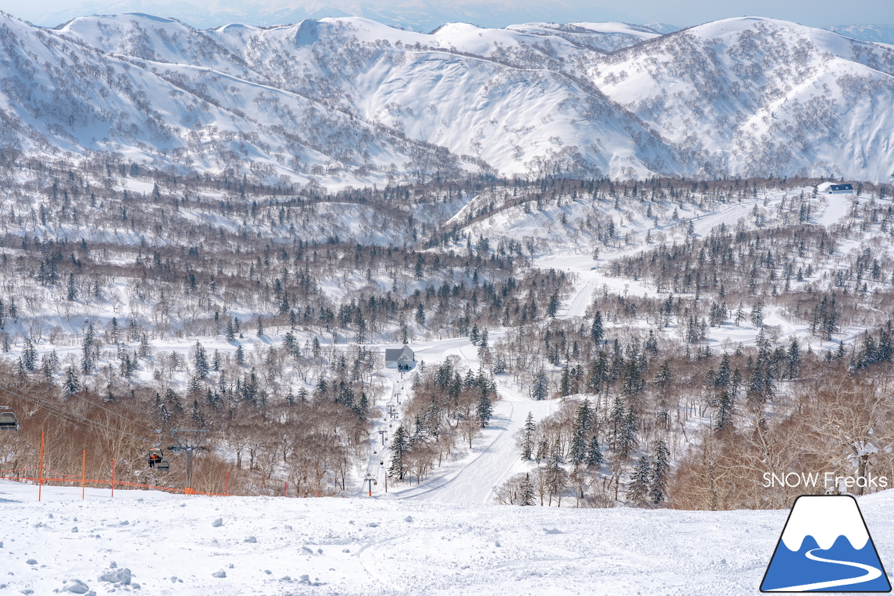 キロロリゾート｜まだまだ山頂は積雪４ｍ超！楽しい春スキー＆スノーボードシーズン到来です(^^)v